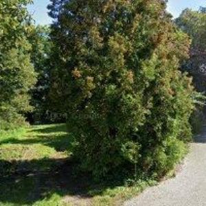 obrazek: avatar ZÁMEČNICKÉ A KOVÁŘSKÉ PRÁCE KRIEGLER