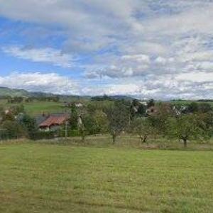 obrazek: avatar KUBROVÁ VĚRA-TRANSPORTNÍ SÁČKY