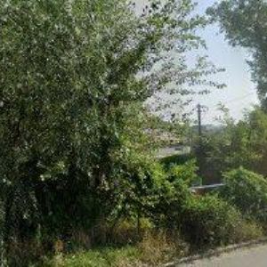 obrazek: avatar POVALAČ JAROSLAV