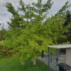 obrazek: avatar ŠIROKÝ MARTIN