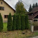 KOTEK JAKUB-KAMENÍK