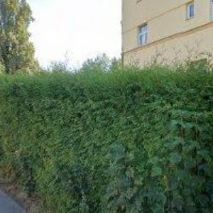 obrazek: avatar KOREK JELÍNEK spol. s r.o.