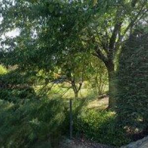 obrazek: avatar JIRÁKOVÁ JITKA