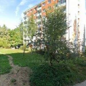 obrazek: avatar ČERNÝ ADOLF