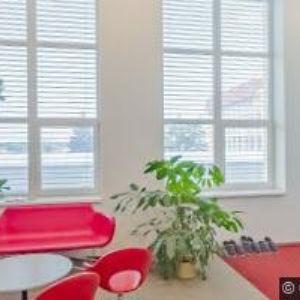 obrazek: avatar FRIDRICH JAN-FRIPOS MONT