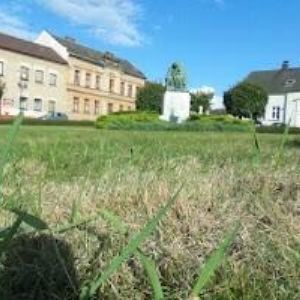 obrazek: avatar COMPACT, spol. s r.o.