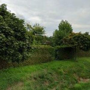 obrazek: avatar VERSAILLES, s.r.o.