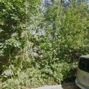 obrazek: avatar TICHÝ LEOŠ Ing.-EKONOMICKÉ SLUŽBY