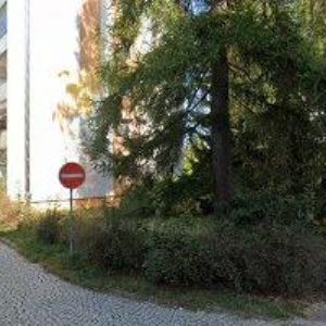 obrazek: avatar PAJKRTOVÁ ŠÁRKA