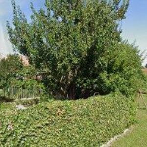 obrazek: avatar RV TRANSPORT