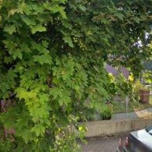 obrazek: avatar MATADORFIX BOHEMIA s.r.o.