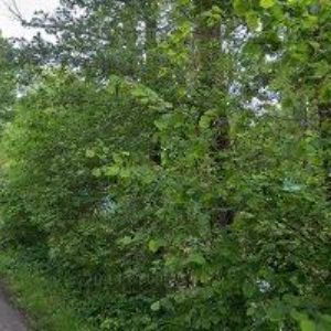 obrazek: avatar TOLUP s.r.o.