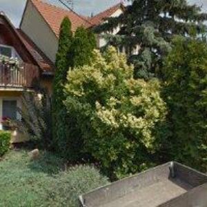 obrazek: avatar LORENC JIŘÍ Ing.