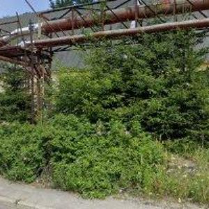 obrazek: avatar KLEINERWOOD s.r.o.