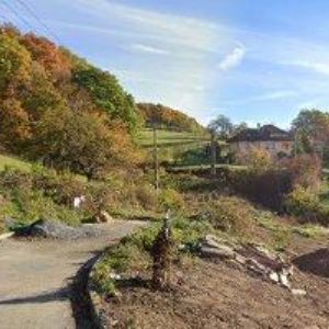 obrazek: avatar HALSKI ANDREA Ing.