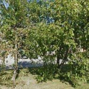 obrazek: avatar DURATIVA PRECIZ s.r.o.