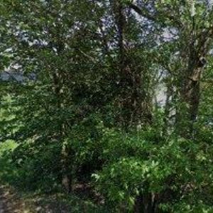 obrazek: avatar KAMENICTVÍ RAŠKA