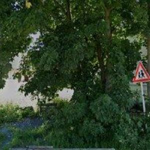 obrazek: avatar KAMLEROVÁ HELENA Ing.