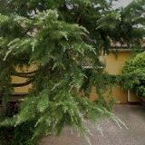 DVOŘÁČEK LIBOR Ing.