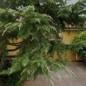 obrazek: avatar DVOŘÁČEK LIBOR Ing.