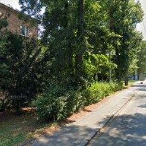 obrazek: avatar ŽÁKOVÁ ALENA