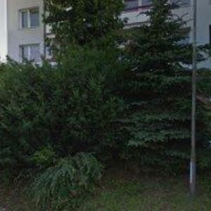 obrazek: avatar SRNĚNSKÝ RADEK Ing.