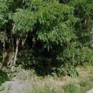 obrazek: avatar EB-STAV s.r.o.