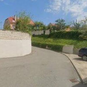 obrazek: avatar GARNEA