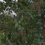 BAJZA JIŘÍ-KAMENICTVÍ