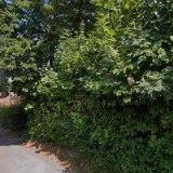 CENTRUM SLUŽEB A PODPORY ZLÍN