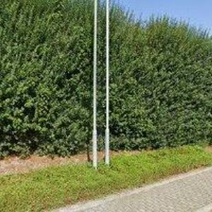 obrazek: avatar GRACE, s.r.o.