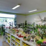 PĚČEK-SEIBERT-KAMENICTVÍ