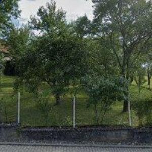 obrazek: avatar PÍSMO DO KAMENE