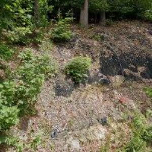 obrazek: avatar MICHL JIŘÍ