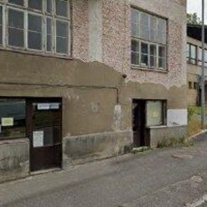 obrazek: avatar MIŠÁKOVÁ KVĚTUŠE