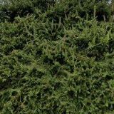 ŠOBÁŇOVÁ LENKA-POJIŠŤOVACÍ MAKLÉŘ