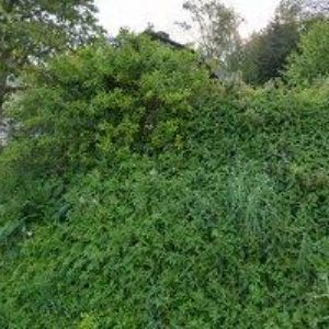 obrazek: avatar SEDLÁČEK MILAN RNDr.