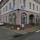 JANÁČKOVÁ VLADISLAVA