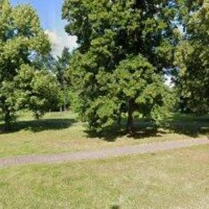 obrazek: avatar NĚMEČEK LUKÁŠ