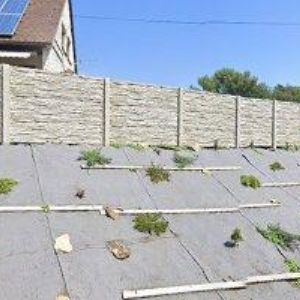 obrazek: avatar SUCHOMELOVÁ ILONA