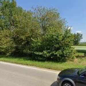 obrazek: avatar NĚMEČKOVÁ JOLANA