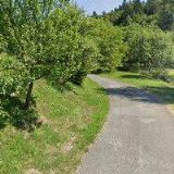 VLČKOVÁ DAGMAR Bc.