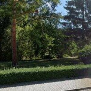obrazek: avatar MANĚK MARTIN