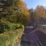 DVOŘÁČKOVÁ ALENA