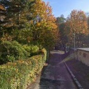 obrazek: avatar DVOŘÁČKOVÁ ALENA