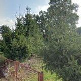 MARTÍNEK MIROSLAV Bc.