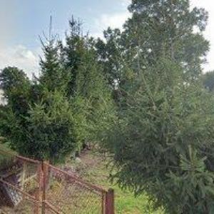 obrazek: avatar MARTÍNEK MIROSLAV Bc.