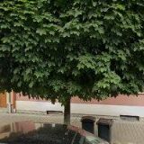 ČÁSENSKÝ & HLAVATÝ, s.r.o.