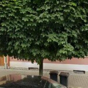 obrazek: avatar ČÁSENSKÝ & HLAVATÝ, s.r.o.