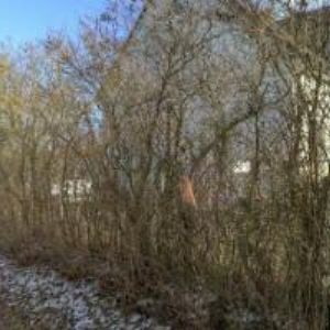 obrazek: avatar INTEGRITY CZ s.r.o.